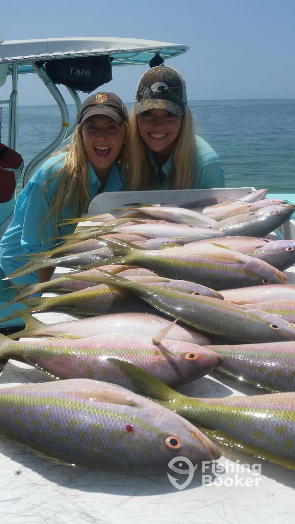 YELLOWTAIL SNAPPER 