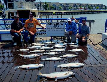 Unbelievable Fishing Right Now