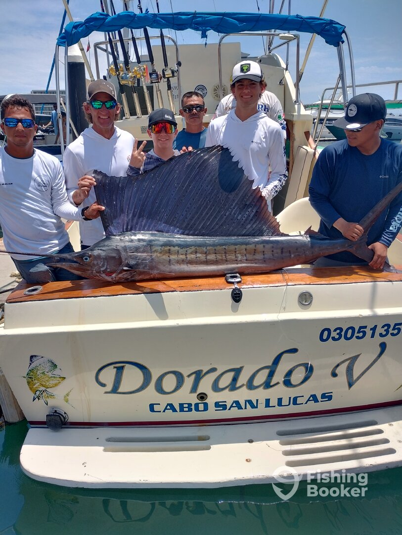 Cabo San Lucas Report Photo 0