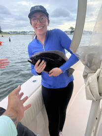 Point Pleasant Report Photo 2