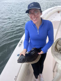 Point Pleasant Report Photo 1