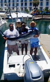 San Jose del Cabo Report Photo 2