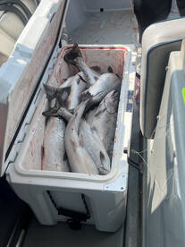 Muskegon Report Photo 1