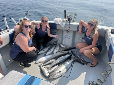 Muskegon Report Photo 2