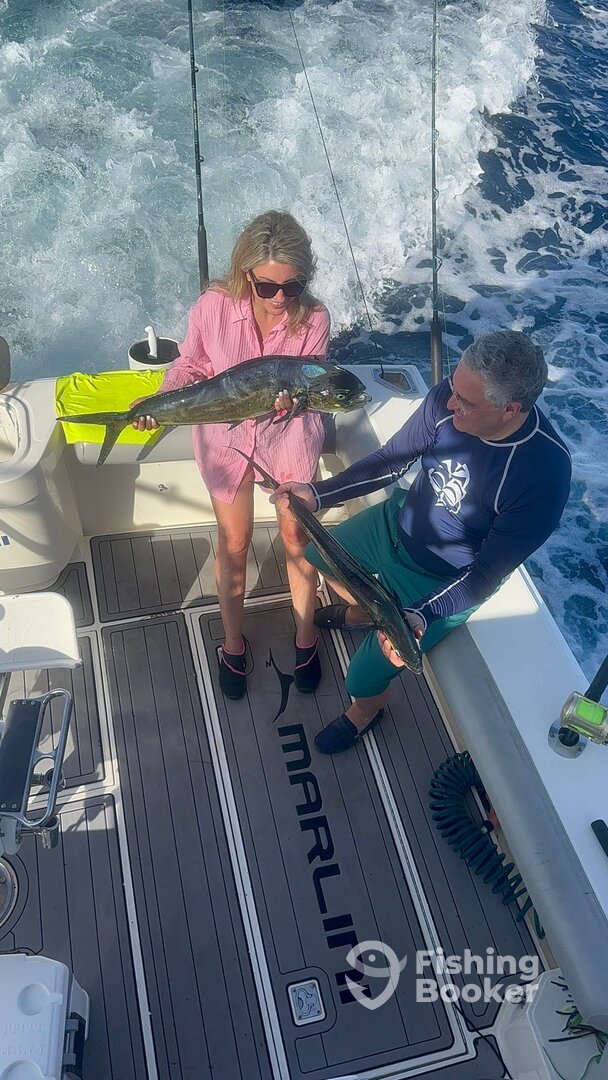 Cabo San Lucas Report Photo 0