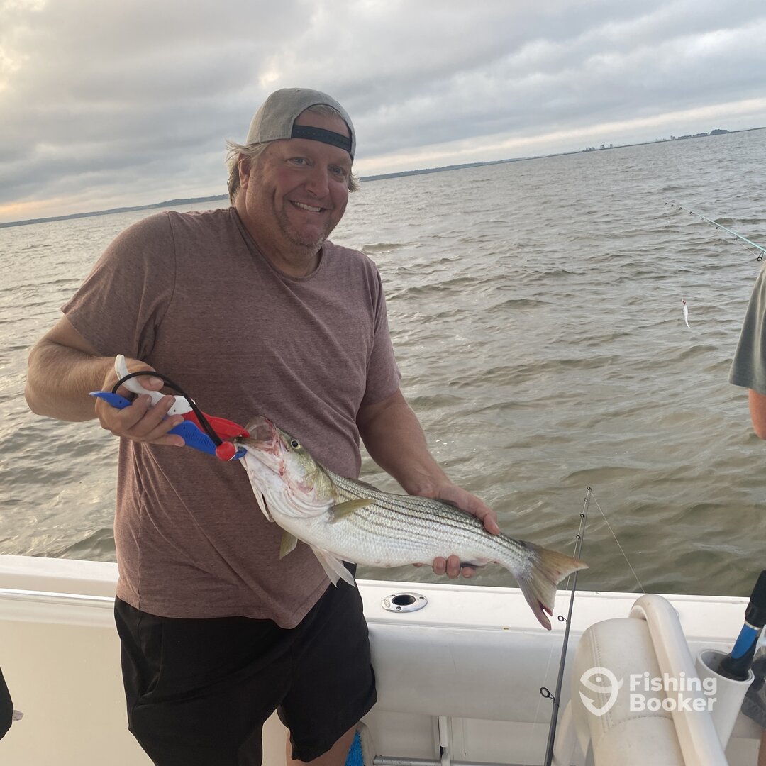 Nanticoke Report Photo 0