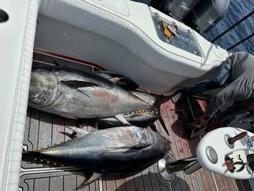 Great foamer and Kite fishing!