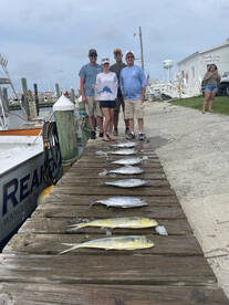 Sailfish, Mahi, & Tuna!