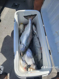 Sackets Harbor Report Photo 3