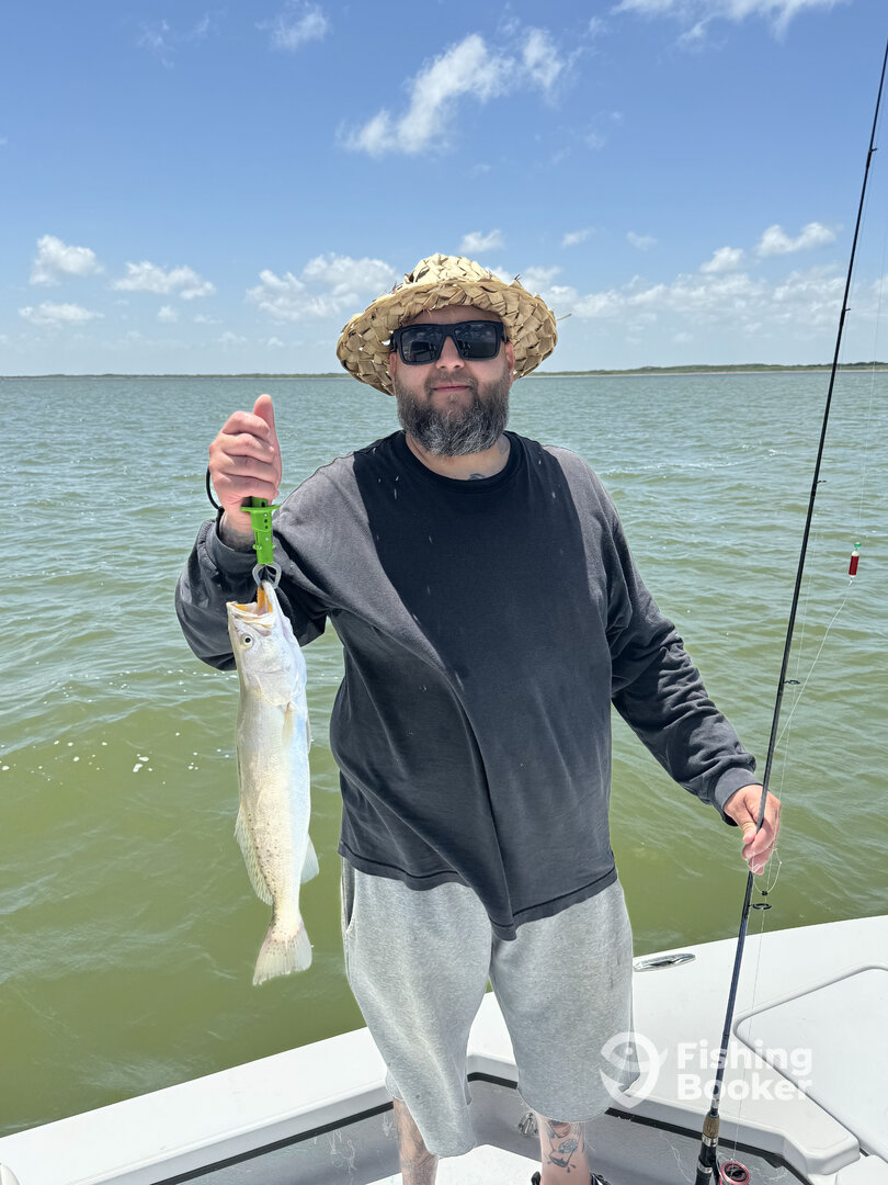 Corpus Christi Report Photo 0