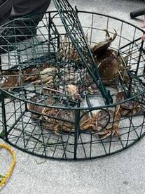 Summer Salmon Fishing: It's heating up o