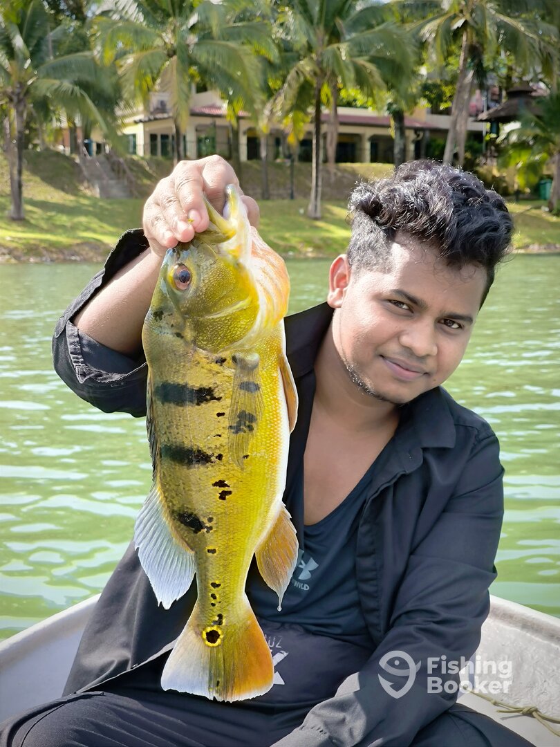 Puchong Report Photo 0