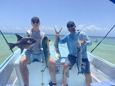 Majis and sail fish