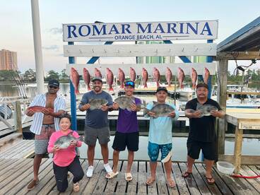Snapper & Triggerfish for the win! 