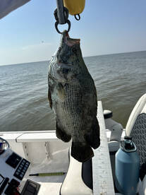 Lake Charles Report Photo 2