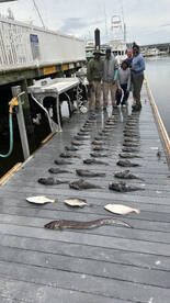 Virginia Beach Report Photo 1