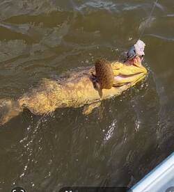 Fishing Report Captain Rio