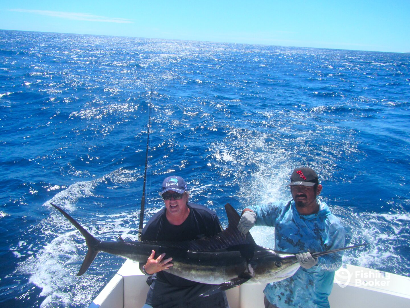 Cabo San Lucas Report Photo 0
