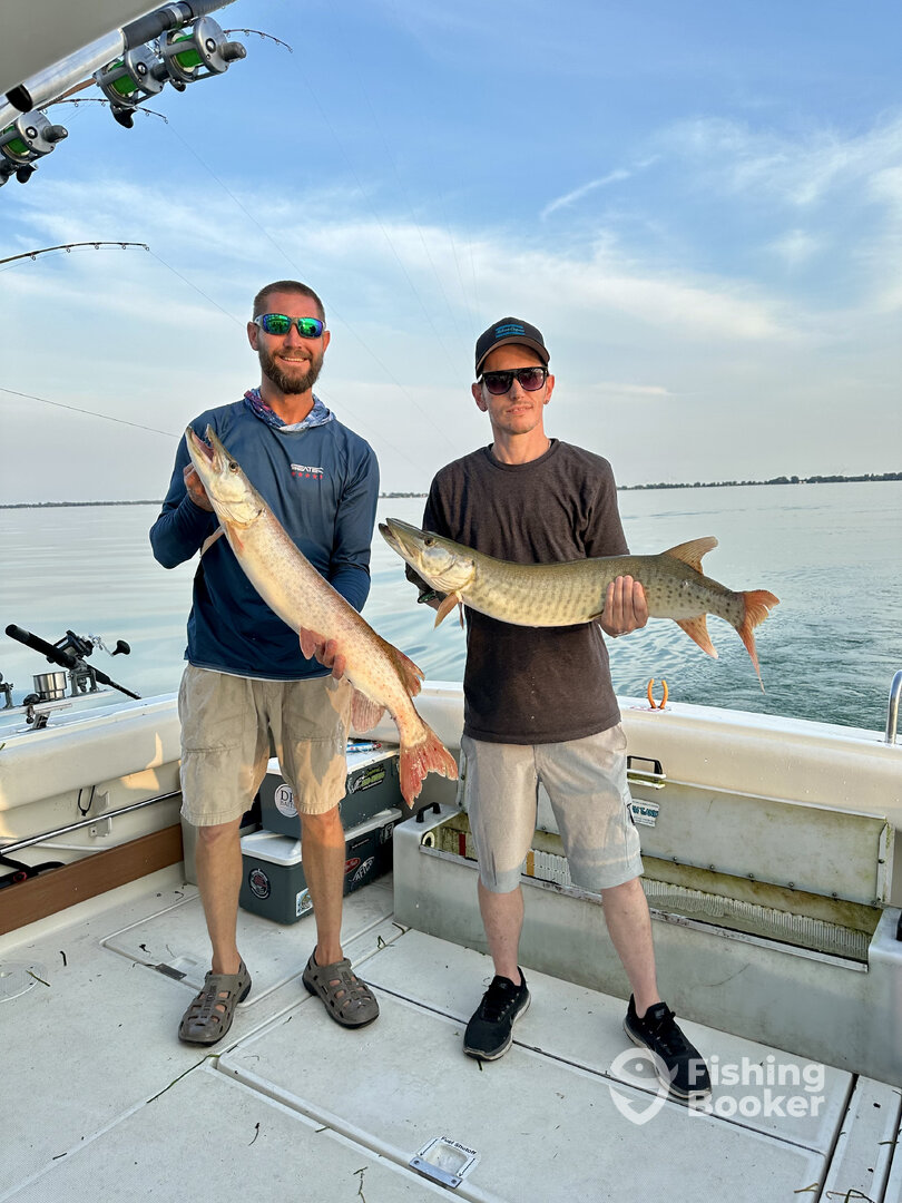 St. Clair Shores Report Photo 0