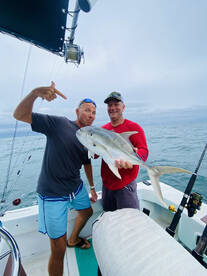 Herradura Report Photo 2