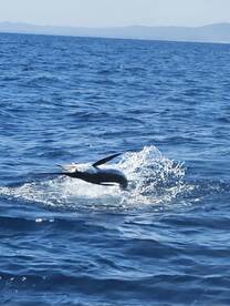 Tavira Report Photo 2