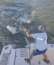 Biloxi Report Photo 2
