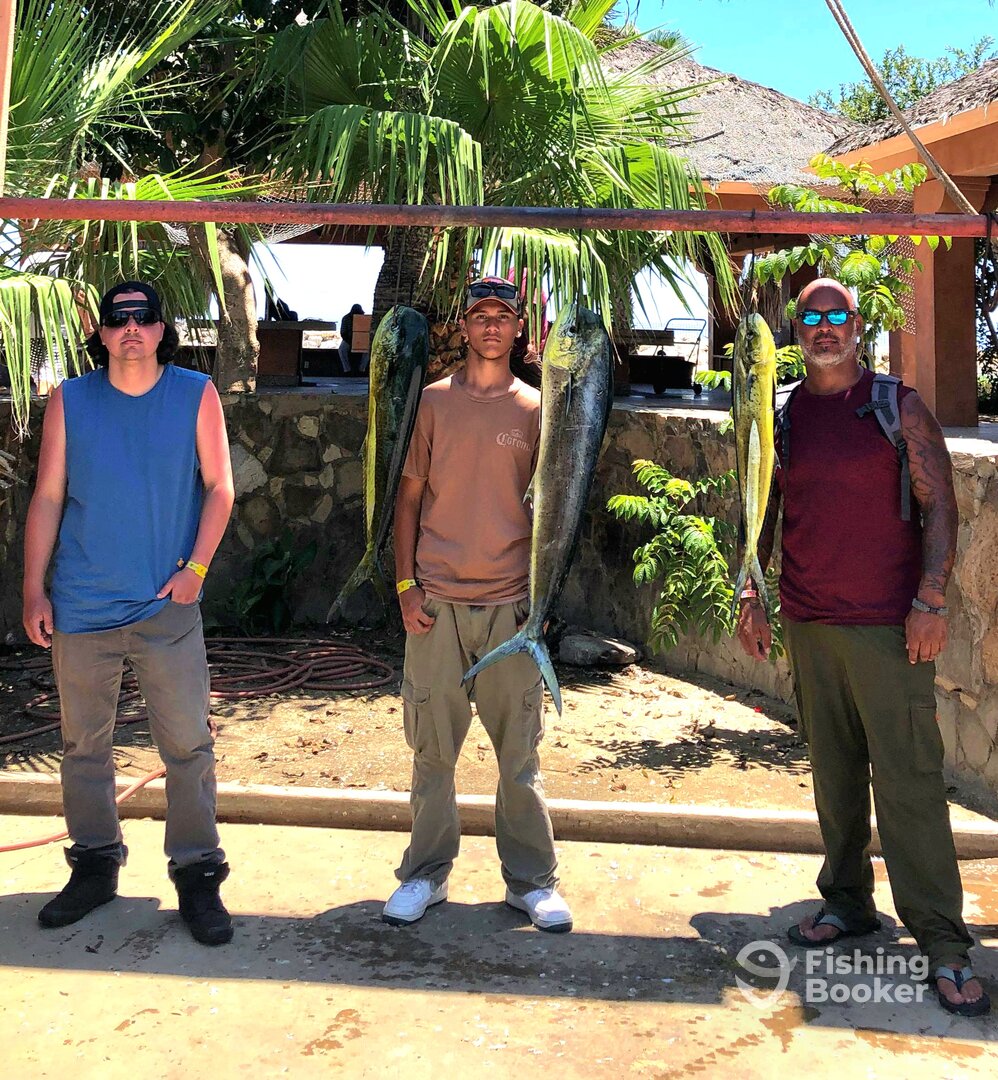 San Jose del Cabo Report Photo 0