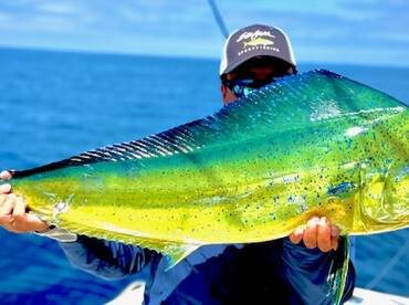 Dorado!