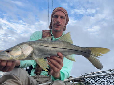 Fishing Docks in the Wind: A Productive 
