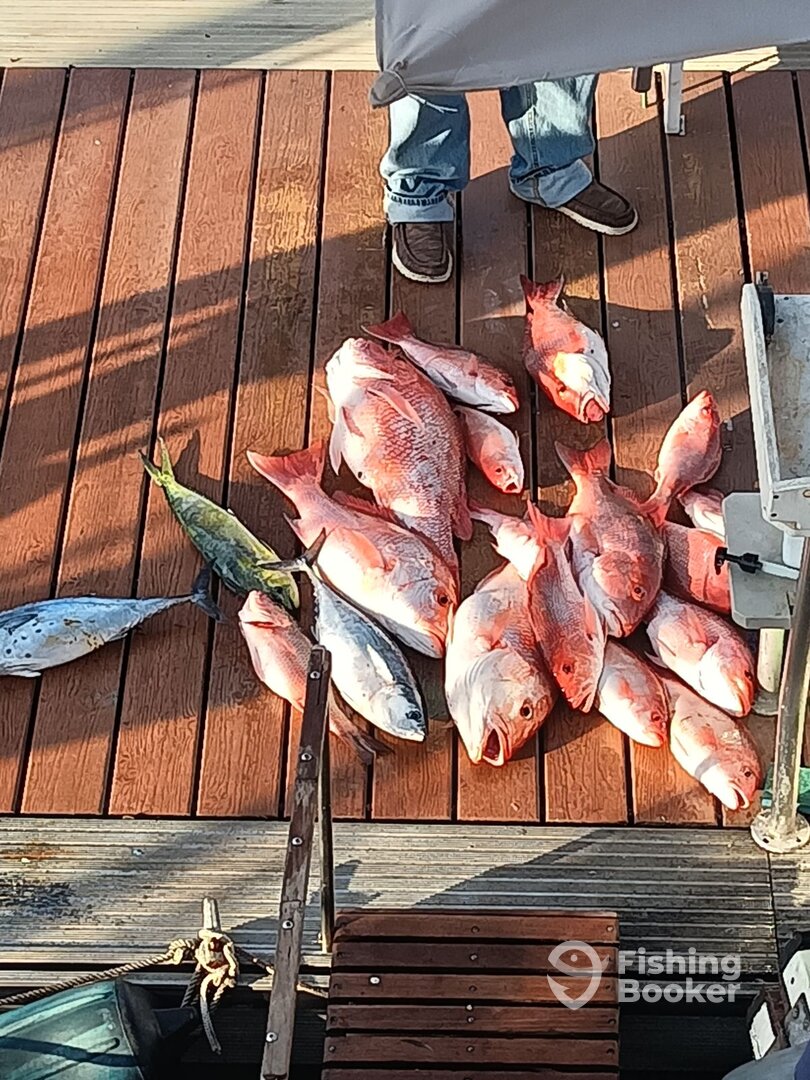 Freeport Report Photo 0