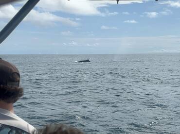 Herradura Report Photo 2