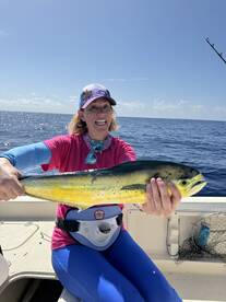 Mahi-mahi