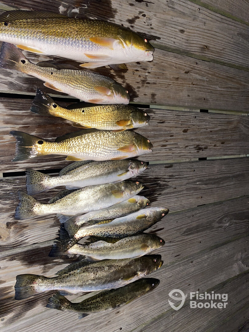 Fort Morgan Report Photo 0