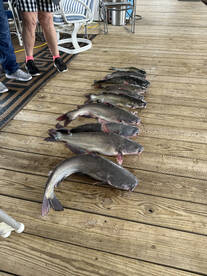Gordonville Report Photo 2