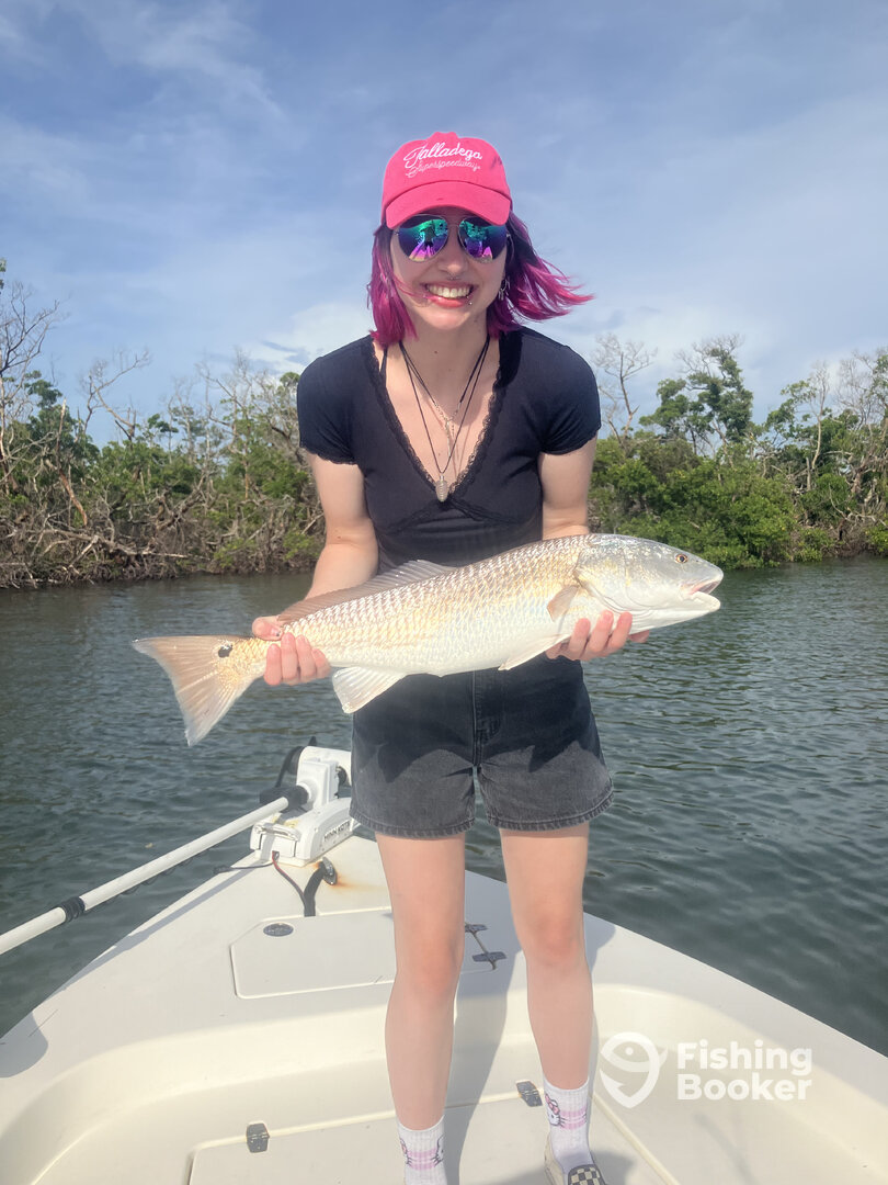Punta Gorda Report Photo 0