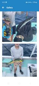 Destin Report Photo 2