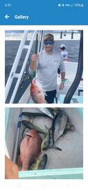 Destin Report Photo 1