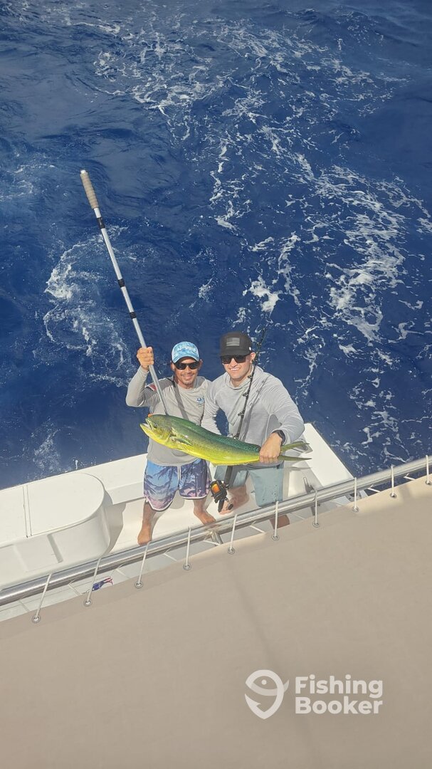 Punta Cana Report Photo 0