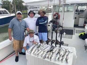 Veterans today thank you for you service