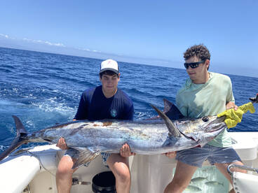 Cabo San Lucas Report Photo 1
