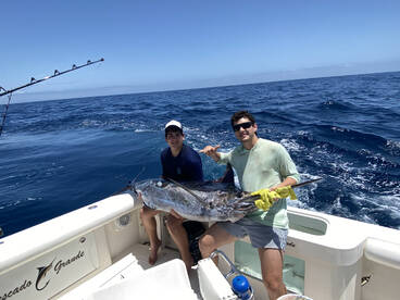 Cabo San Lucas Report Photo 2