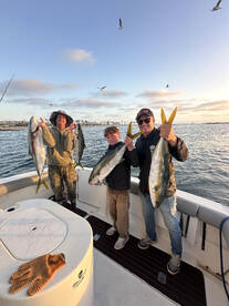 Yellowtail are biting