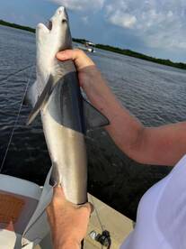 Crystal River Report Photo 2