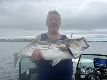 Summer bite is on fire