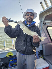 Slow trollin lake erie walleye