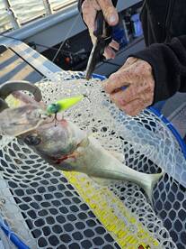Lakeside Marblehead Report Photo 2