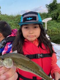 Randleman Report Photo 1