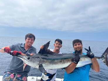 White Marlin go in pairs!!!!!