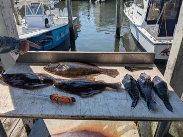 Point Pleasant Beach Report Photo 2