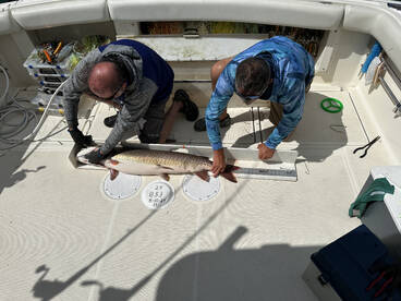 St. Clair Shores Report Photo 2
